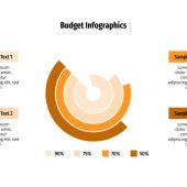 Budget Plan Circular Graph PowerPoint Presentation