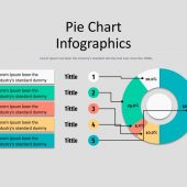 Pie Chart Infographics 01