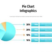 Pie Chart Infographics 02