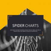 Spider Charts-corporate PowerPoint Template