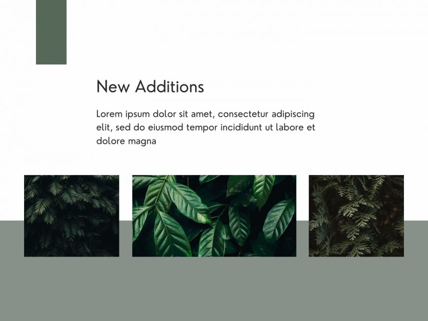 The green life Company overview PowerPoint Presentation Template