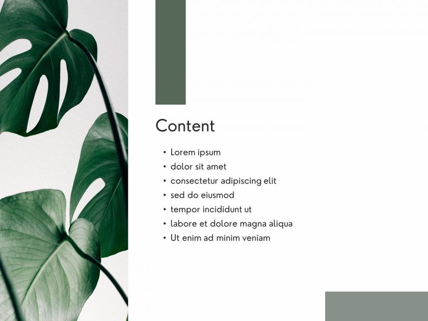 The green life Company overview PowerPoint Presentation Template