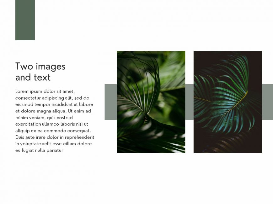 The green life Company overview PowerPoint Presentation Template