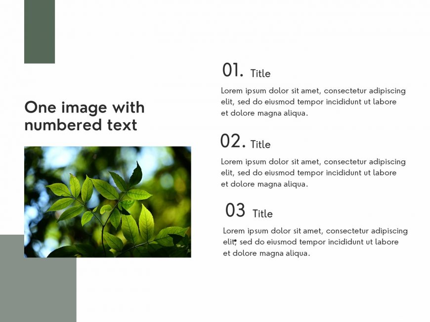 The green life Company overview PowerPoint Presentation Template