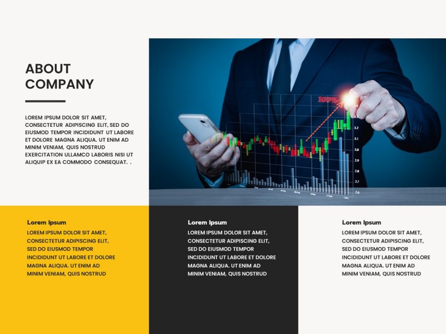 Company overview PowerPoint Presentation Template