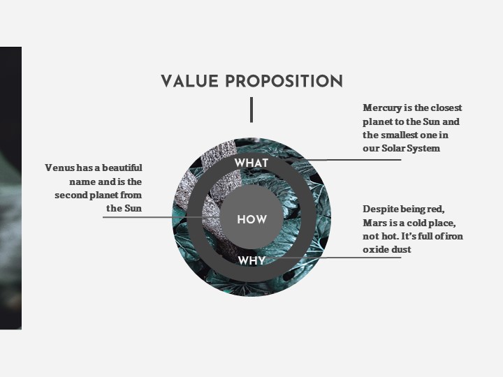 BUSINESS PLAN POWER POINT PRESENTATION