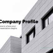 Company profile PowerPoint Presentation