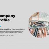 company profile PowerPoint Presentation